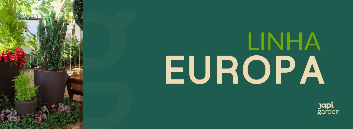 Linha europa desk B2C